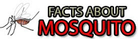 Facts About Mosquitoes