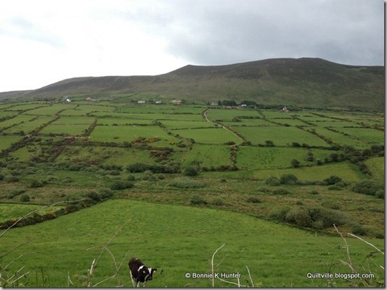 Ireland2013 703