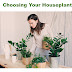  Choosing Your Houseplants
