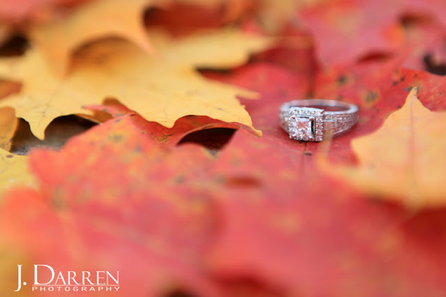 photo of the rings from a Fall engagement session reynolda gardens in winston salem