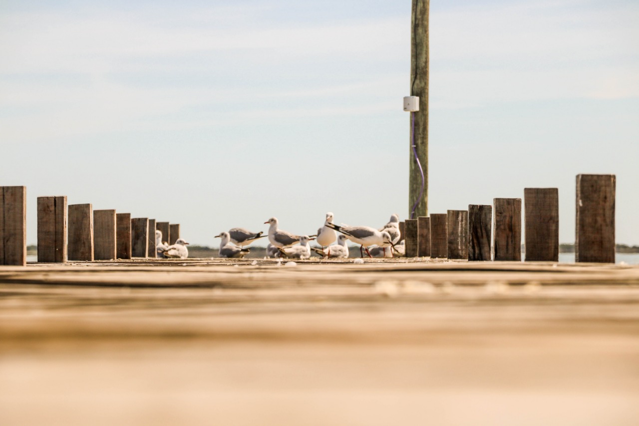 Muelle Laguna La Salada - Madariaga