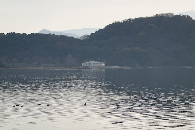 島根県安来市島田町 中海