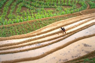 pm kisan samman nidhi yojana