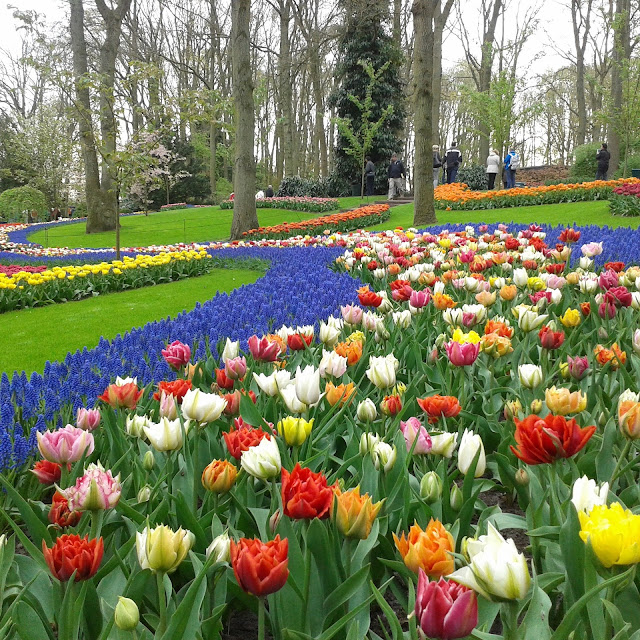 Keukenhof view