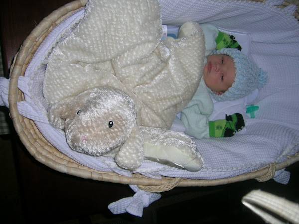 Aspen in his Moses Basket