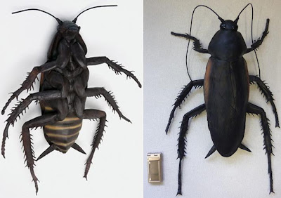 Mega Cockroach Model Not from Fallout Series
