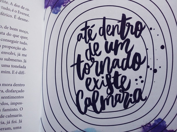 Foto Vanessa Vieira, blog Um baixinho nos livros, crônicas, Romance, No meio do caminho tinha um amor, livro, quotes