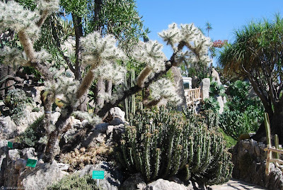 (Monaco) - Jardin Exotique