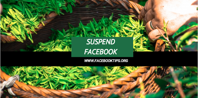 Suspend Facebook account
