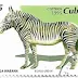 Selo de Cuba, Equus Grevyi