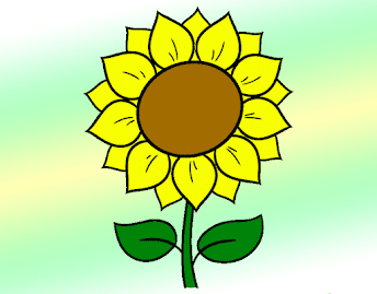 Sunflower Drawing