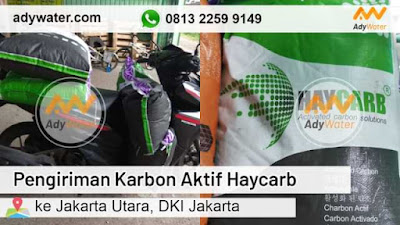 karbon aktif adalah fungsi karbon aktif merek karbon aktif karbon aktif aquarium masa pakai karbon aktif cara menggunakan karbon aktif untuk filter air bahan pembuatan karbon aktif ukuran karbon aktif arang aktif aquarium kegunaan arang aktif