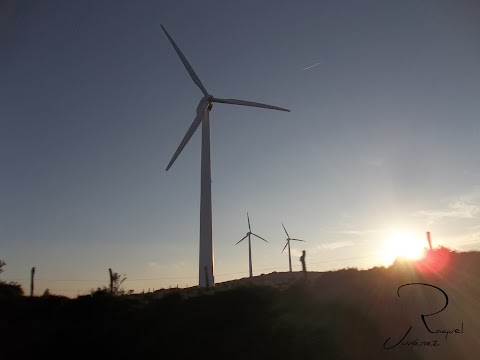 MOLINOS DE VIENTO  AL CAER EL SOL .