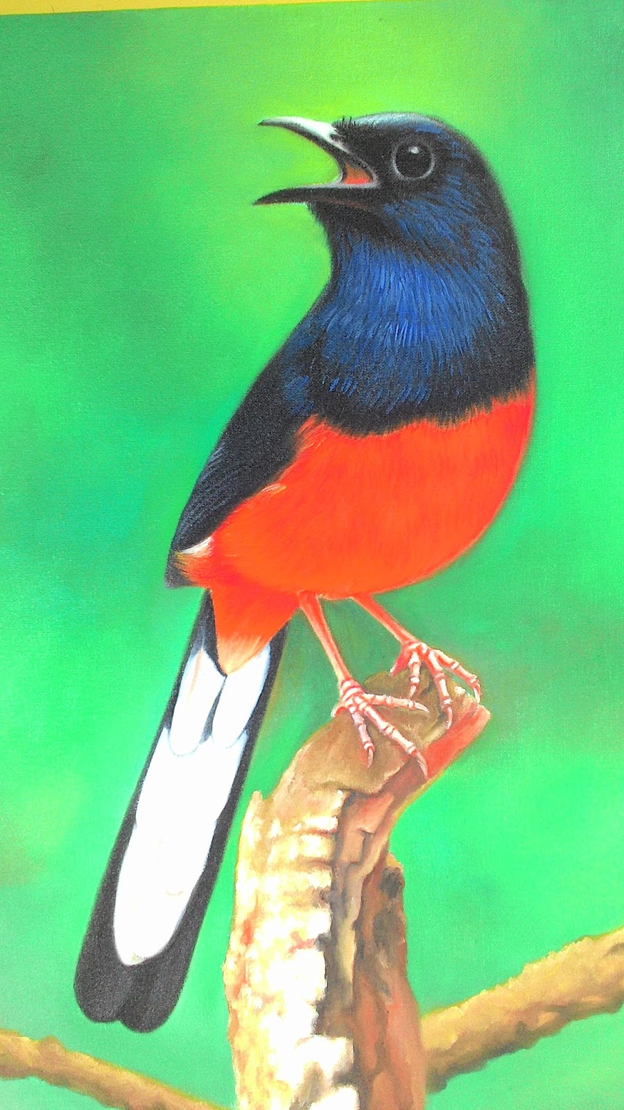 Download Gambar Lukisan  Burung  Pickini