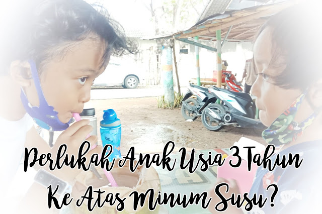 Perlukah Anak Usia 3 Tahun Ke Atas Minum Susu?