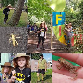Just So Festival Review 2019 Sunday glorious weather collage ice cream insects frogs
