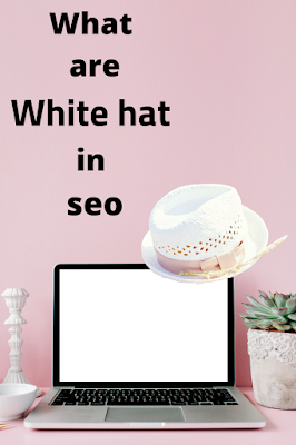 white hat seo: What is White Hat In Seo and Their techniques