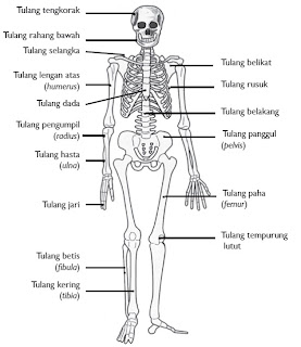 Gambar