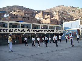 IE N° 2061 SMP
