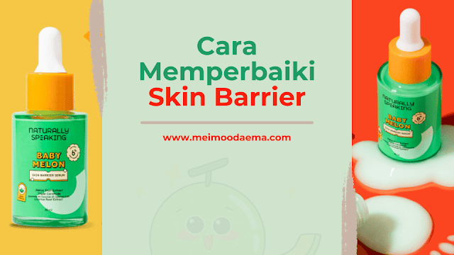 cara memperbaiki skin barrier