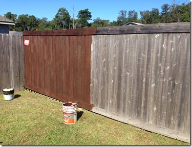 Running & Fence Staining (6)