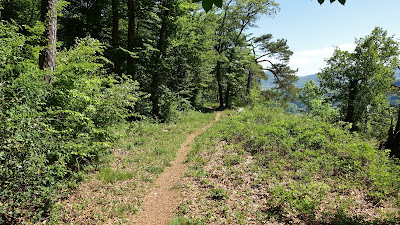 Singletrail auf der Fluh