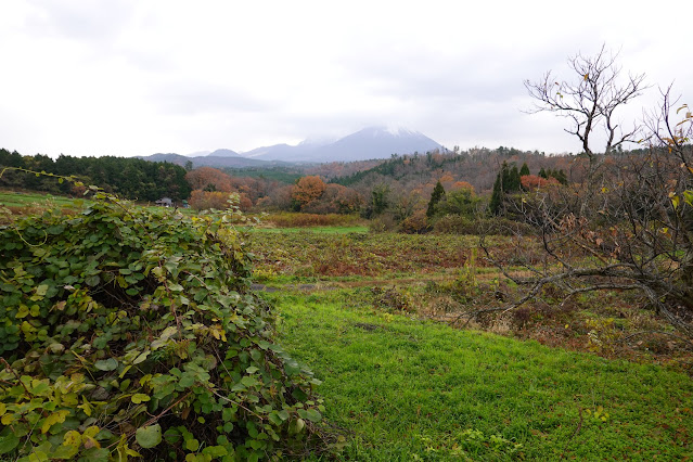 鳥取県西伯郡大山町赤松 付近の眺望