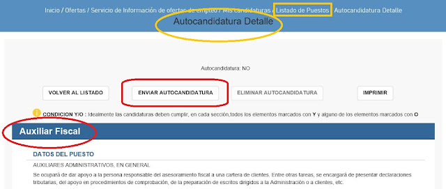 Autocandidatura, detalle de puesto