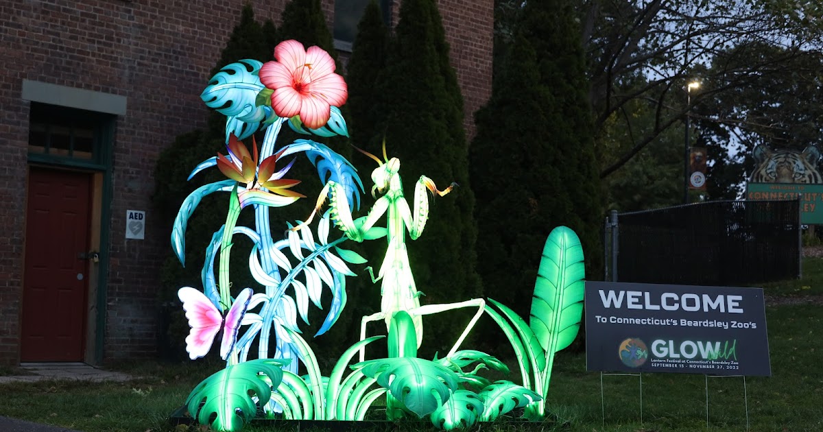 Beardsley Zoo's Glow Wild