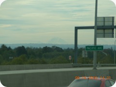 DSCN1684