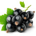 Black Currants Health Benefits