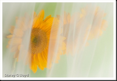 Blog_20100730_1-2