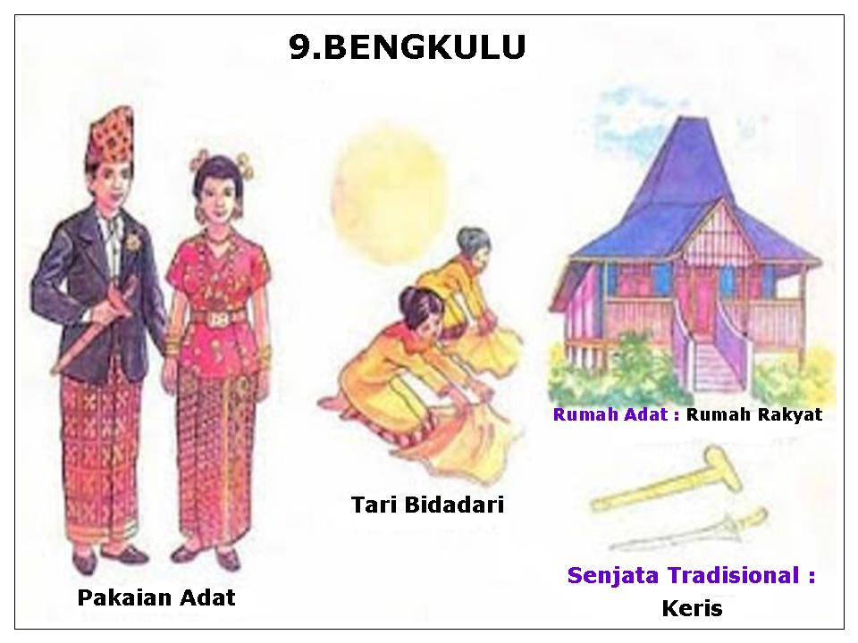 Pakaian,Tarian,Rumah Adat,Senjata tradisional, dan Sukunya