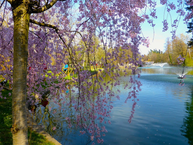 Giardini-Margherita-Bologna