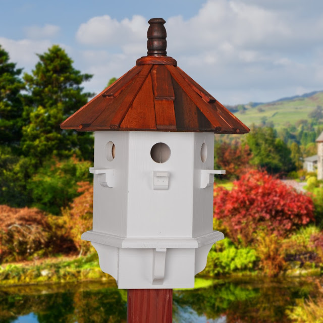 Birdhouse For Finches
