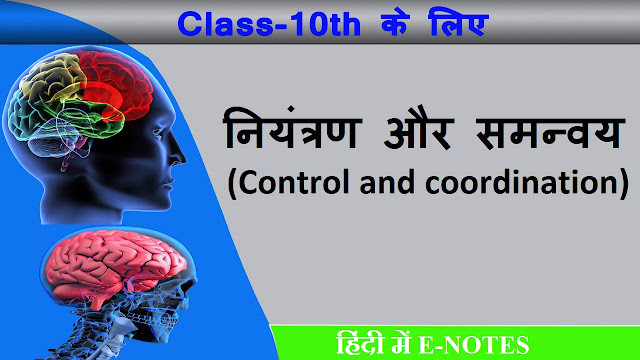 Control-and-coordination-in-hindi-notes-careercrafters