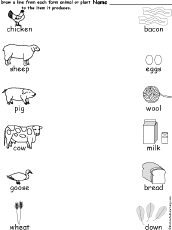 worksheet worksheet matched from noses  Learning up the animal they Enchanted where animal