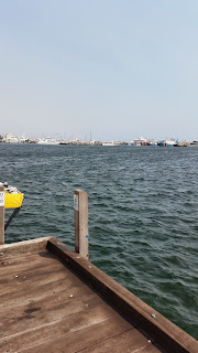 jalan-jaln lepas makan fish nchip di Kaili's Fremantle