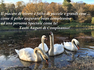 Il piacere di vivere è fatto di piccole e grandi cose… come il poter augurare buon compleanno ad una persona Speciale come te! Tanti Auguri di Compleanno!