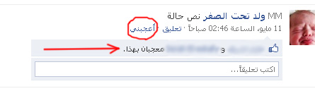 FaceBook Liking Button