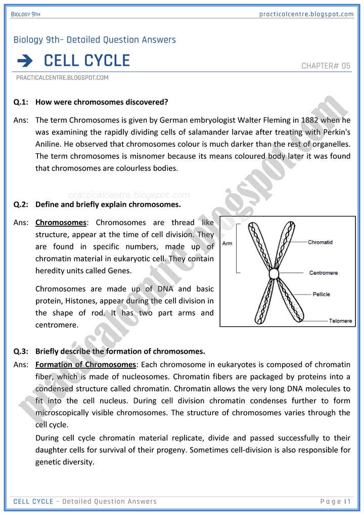 cell-cycle-detailed-question-answers-biology-9th-notes