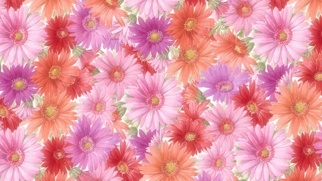 Flowers HD Wallpapers Free Download