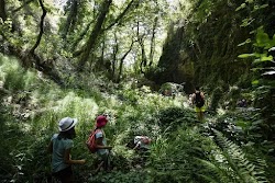  Τσουχτερό πρόστιμο ύψους 5.000 ευρώ θα κληθεί να πληρώσει ο πρόεδρος του Συλλόγου Δρομέα Υγείας Βόλου, αλλά και από 300 ευρώ οι ορειβάτες ο...