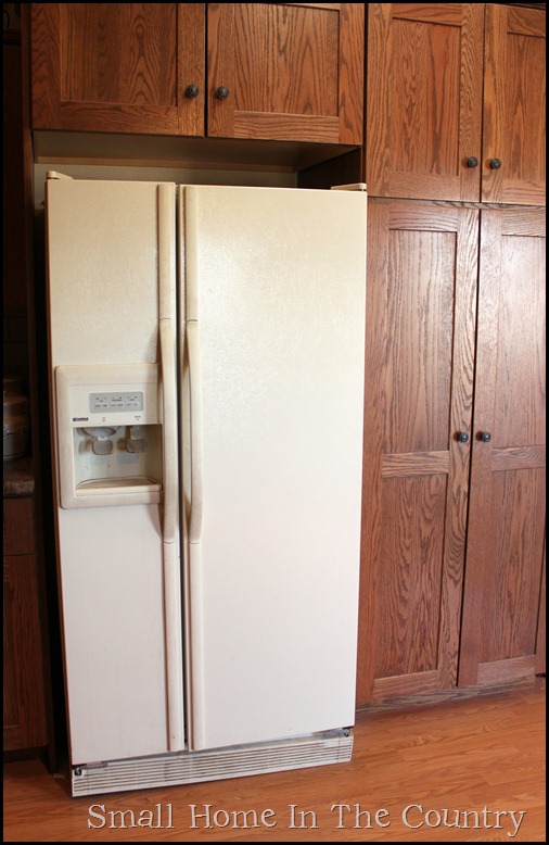 IMG_4040 IMG_4040