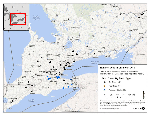 World Rabies Day Ontario rabies cases 2019