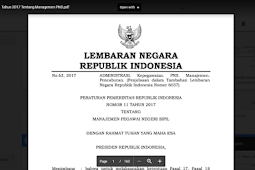 PP No 11 Tahun 2017 Tentang Managemen PNS