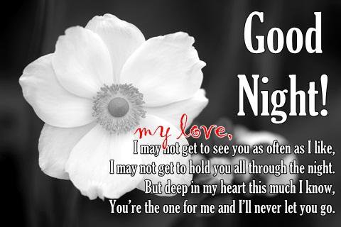 Black and White Good Night Flower with Quotes