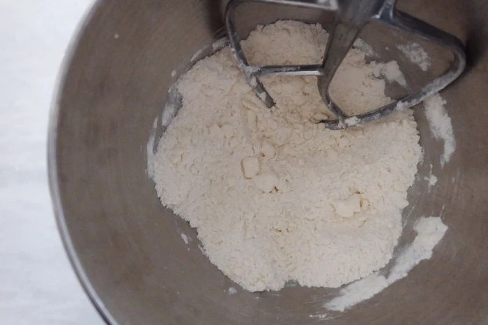 crumbly butter and flour in mixer
