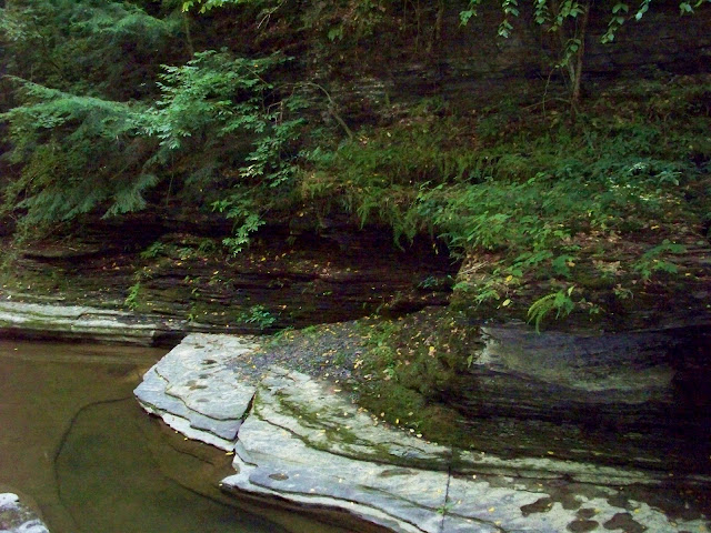 stream with rippled rocks