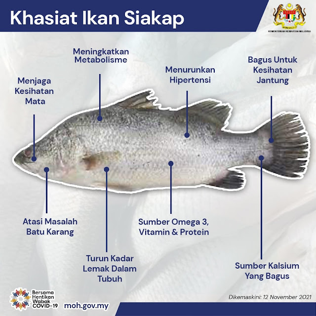 Ikan Siakap : Mudah dapat,sedap di masak pelbagai menu.